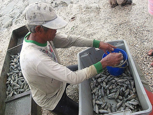 RESEPI NANNIE: Mentarang di Pantai Remis