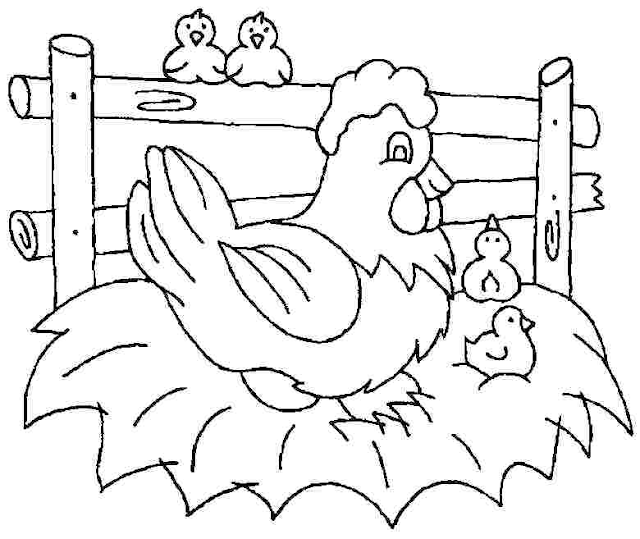 Aneka Gambar  Mewarnai Hewan  Ayam  Untuk Anak PAUD dan  TK 