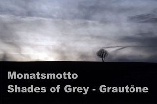 https://diezitronenfalterin.de/2019/11/01/monatsmotto-im-november-shades-of-grey-grautoene/