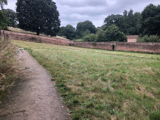 Fyne Court walled garden