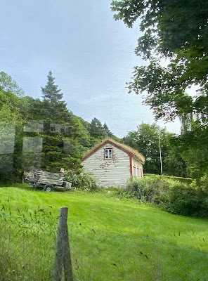 sod roof on a home in Ålesund, Norway