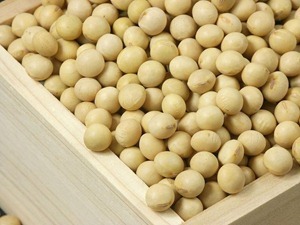 grainmarketnews_soybean4_045