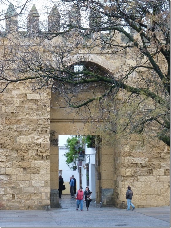 P1100506