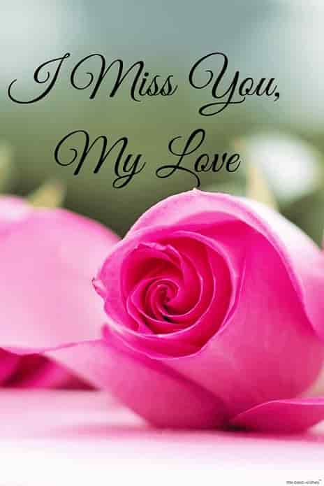 i miss you my love hd image with rose