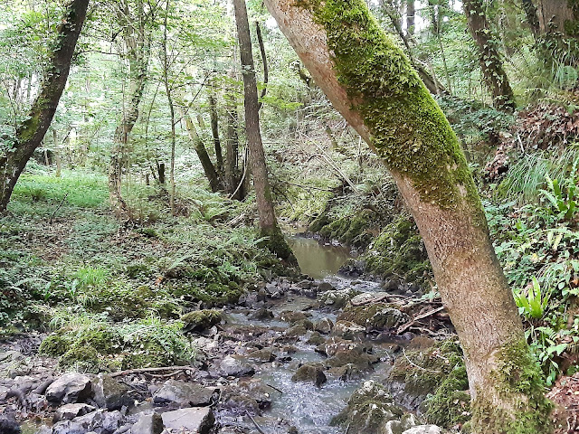 Río abajo