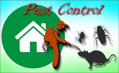 pest control vencouver