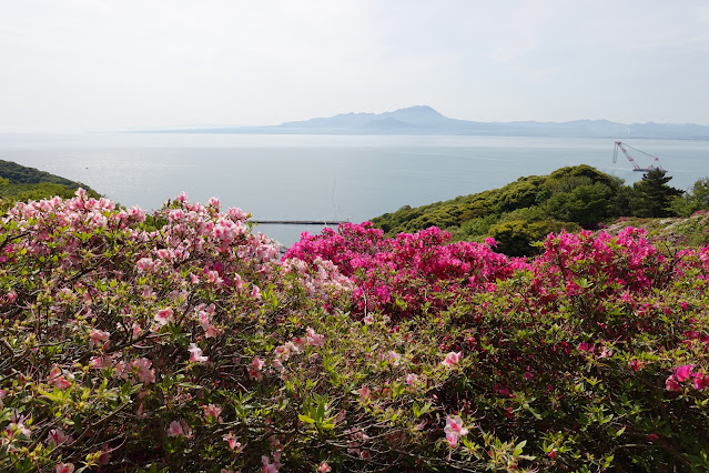 島根県松江市美保関町美保関 五本松公園からの眺望