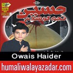 http://www.humaliwalayazadar.com/2014/10/owais-haider-nohay-2015.html