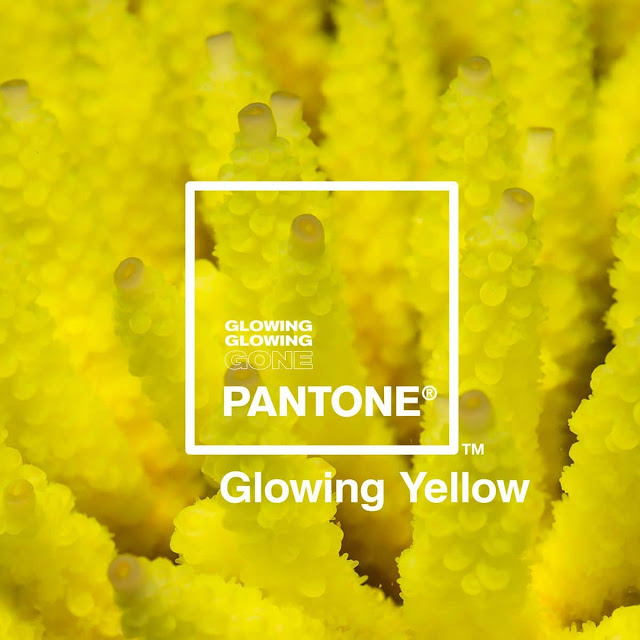 glowing-Pantone-Adobe-paleta-colores-inspirada-corales