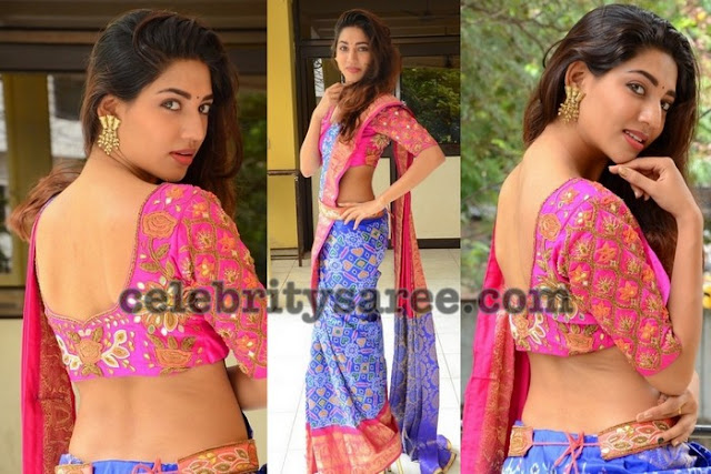 Sonakshi Singh Rawat Ikkat Saree