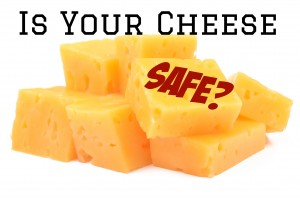 Cheese