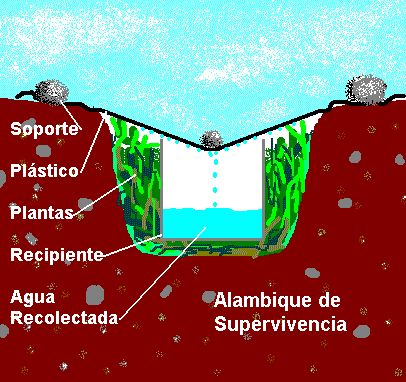 "Como Conseguir Agua en el monte"