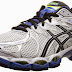 ASICS Men's GEL-Nimbus 16