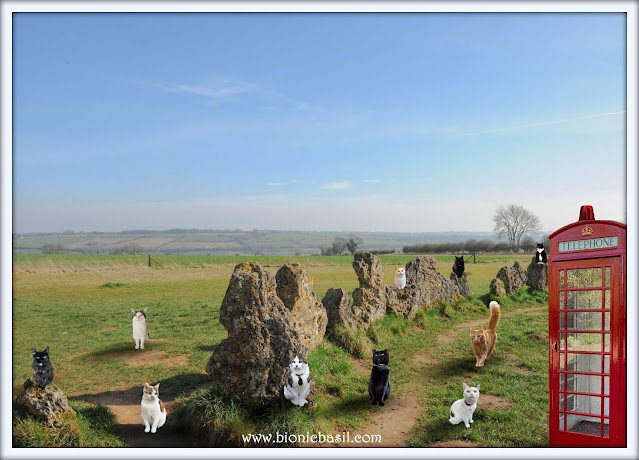 The B Team's Rollright Stones Selfie ©BionicBasil® The Sunday Selfies Blog Hop and Smooch's UK Historical Travel Guide