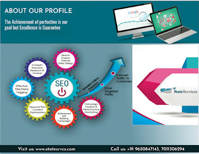  SEO Company in Delhi