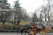 It is a remarkable park of NYC preserved land in the middle of a concrete . (central park)