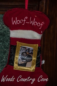 December 2018-7131