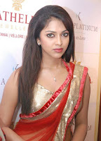 Amala, Paul, New, Hot-Photo, in, Saree, 