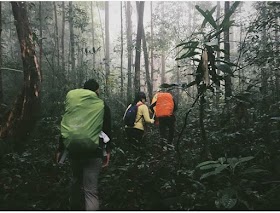 Jelajah Nusantara : Bukit Raya 2.278 Mdpl, The Seven Summits of Indonesia