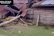 Pohon Tumbang Timpa Rumah Warga Di Aceh Selatan