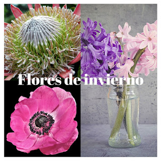 Flores de invierno