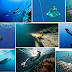 4 Peraturan Free diving (Selam Bebas)