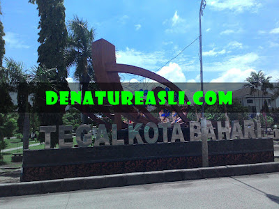 Agen De Nature Tegal