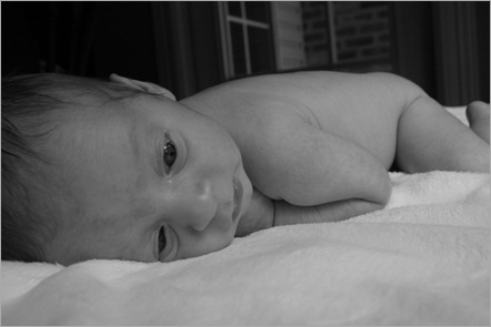 Campbell- weeks 1-3 103