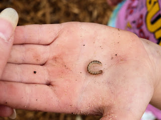 Spring is in the air #KinderFriends bloghop and outside learning ideas