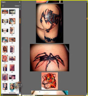 265 Amazing Tattoos Design PDF