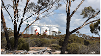 Pingrup Silo Art Painted by Evoka1 | Australian Street Art