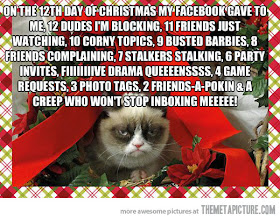 12 Days of Grumpy Cat Facebook Christmas
