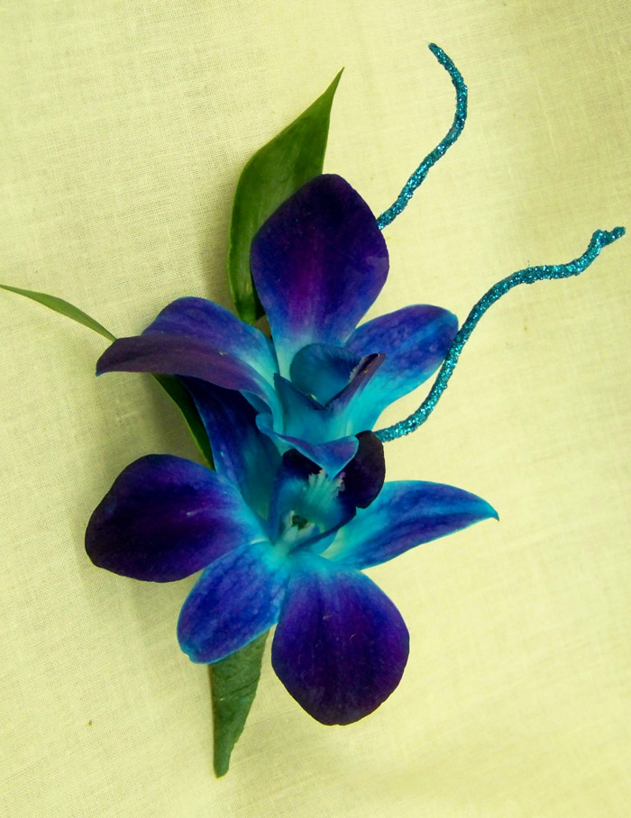 types of flowers on corsages Blue Orchid Boutonniere | 700 x 908