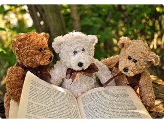 Three teddy bears sitting outside, reading a book.