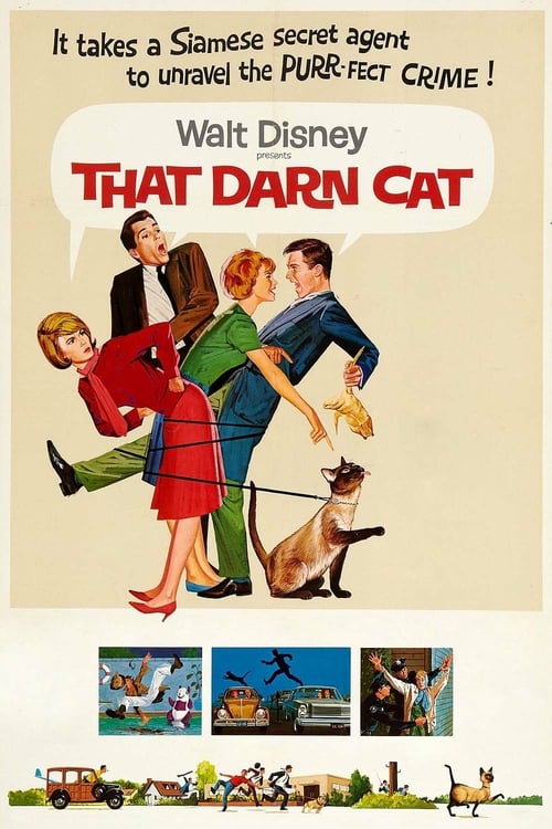 [HD] Un gato del FBI 1965 Ver Online Subtitulado