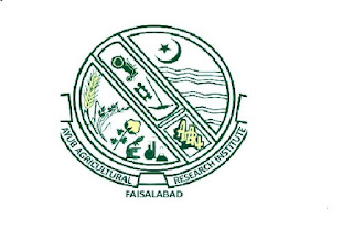 Latest Ayub Agriculture Research Institute AARI Management Posts Faisalabad 2022