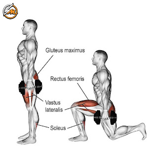 Top 9 Leg Exercises With Dumbbell For Strenghth