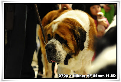 香港國際寵物用品展暨水族博覽+全犬種冠軍狗展