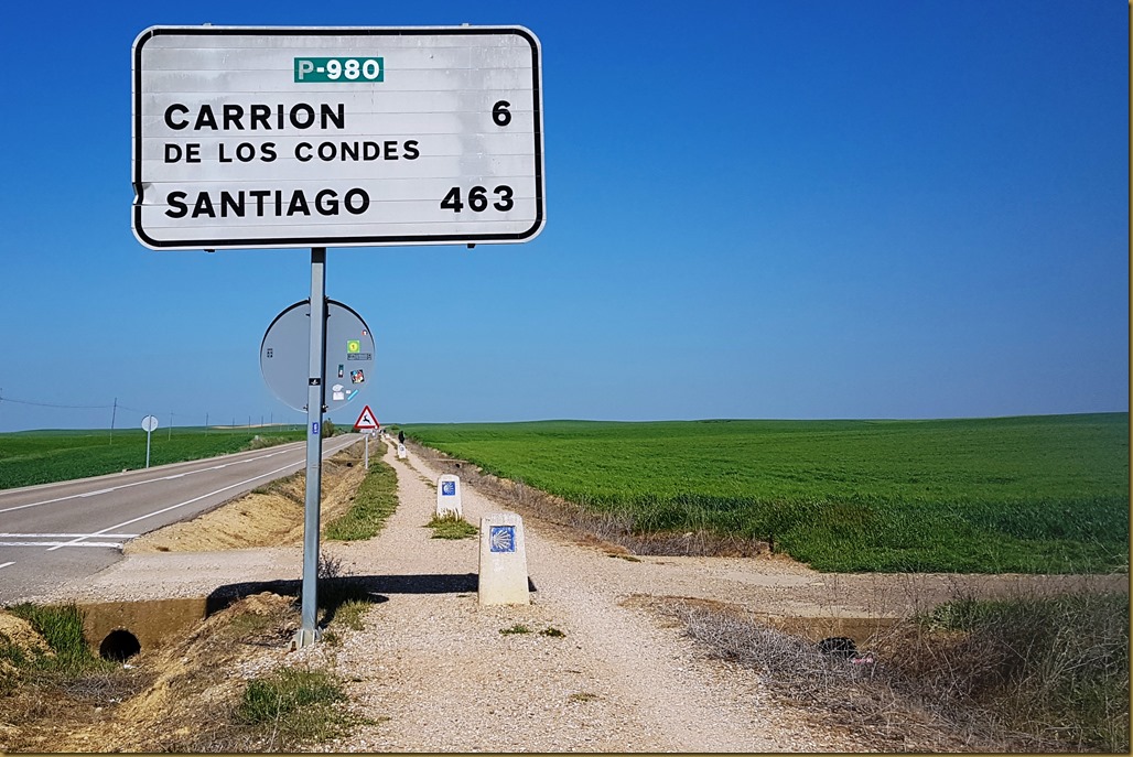 20180505_114331 Carrion de los Condes