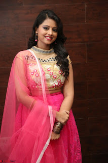 Geethanjali sizzles in Pink at Mixture Potlam Movie Audio Launch 042.JPG