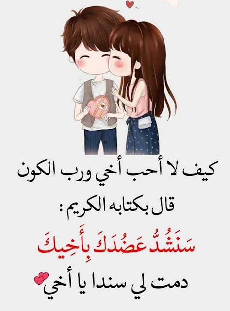 كيف لا أحب أخي ورب الكون قال سنشدد عضدك بأخيك