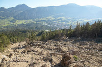 Naturschutzgebiet Sägel-Schutt am Lauerzersee