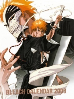 Bleach