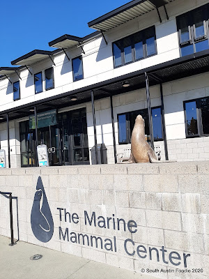 Marine Mammal Center