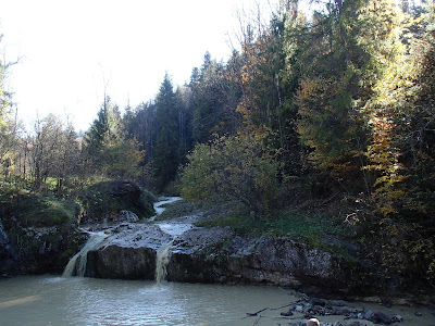 Rezerwat Biała Woda, Pieniny