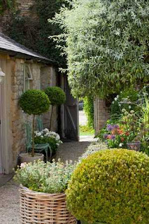 French formal Narrow garden