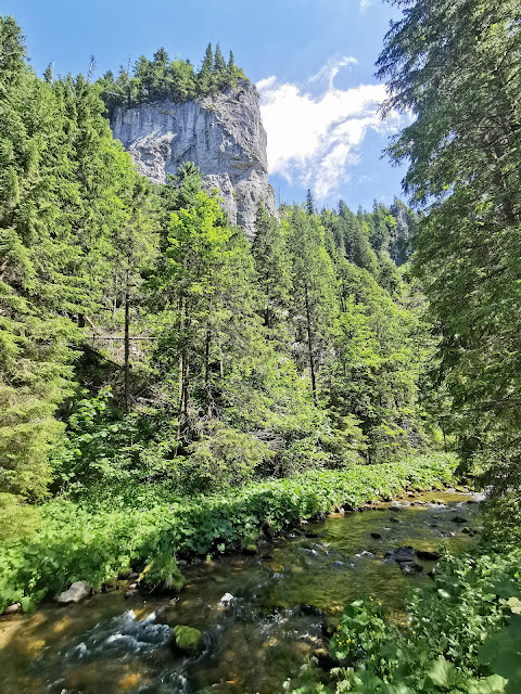 Kościeliska Valley Zakopane
