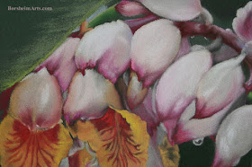 Raindrops on Shell Ginger - original pastel painting art [detail]