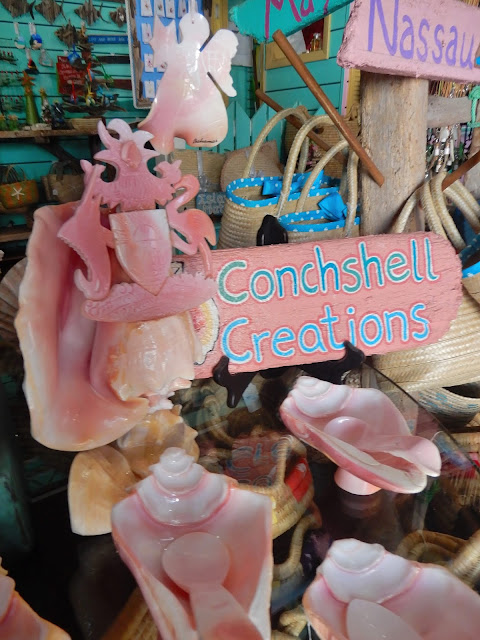 conch shell merchandise