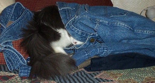 Lola7